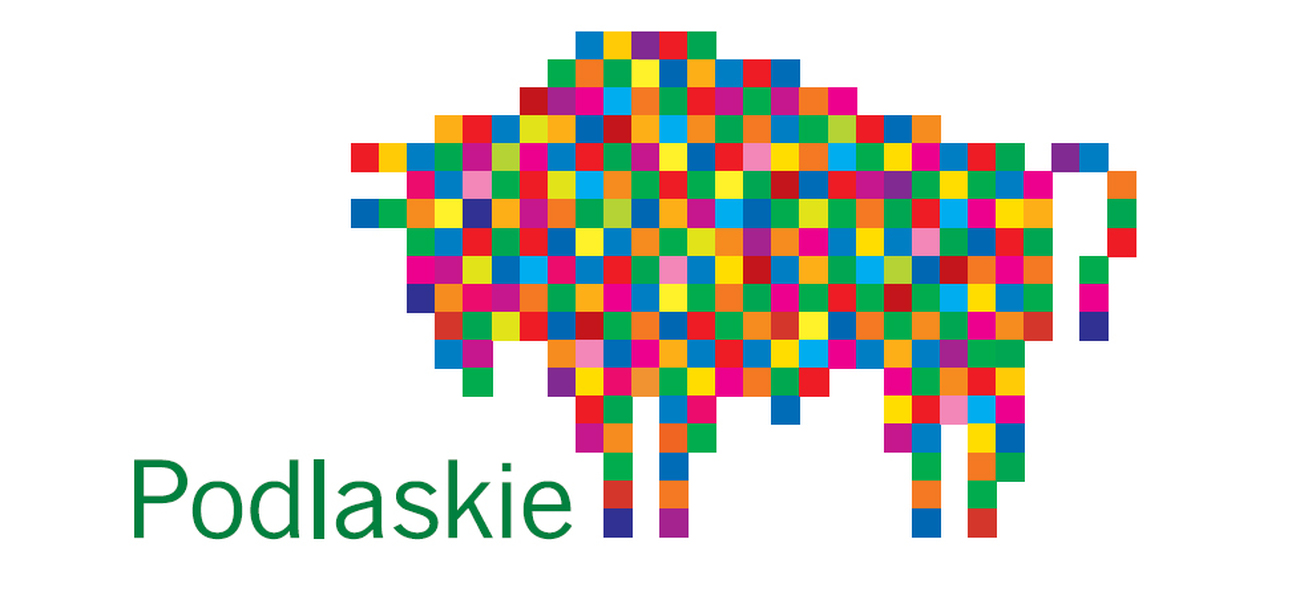Podsumowanie XVI Dnia Tradycji Rzeczypospolitej w Wasilkowie